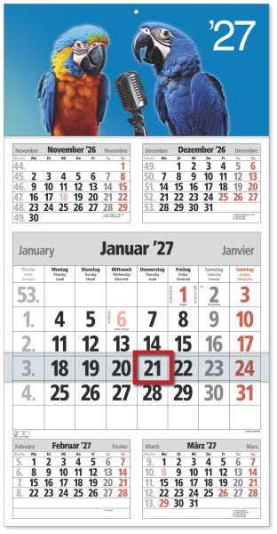 5-Monatsplaner mit frechem Katzenmotiv - ideal als Geschenk