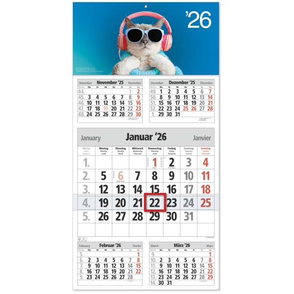 5-Monatsplaner mit frechem Katzenmotiv - ideal als Geschenk